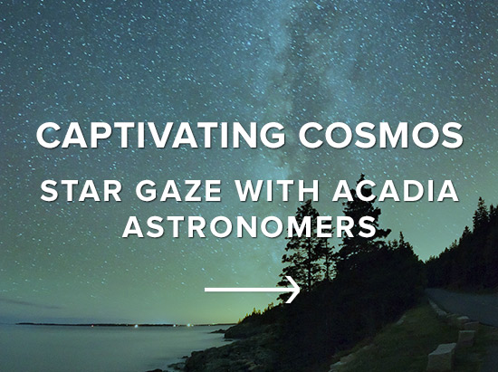 Captivating Cosmos: Star Gaze with Acadia Astronomers