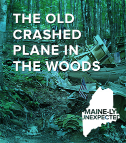 Maine-ly Unexpected: The Old Crashed Plane in the Woods