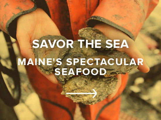 Savor the Sea: Maine's Spectacular Seafood