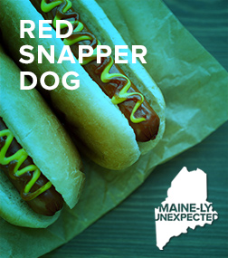 Maine-ly Unexpected: Red Snapper Dog