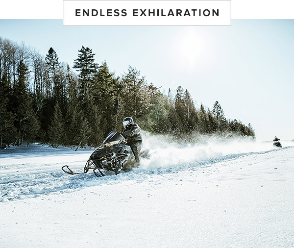 Endless Exhilaration