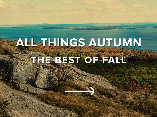All Things Autumn: The Best of Fall