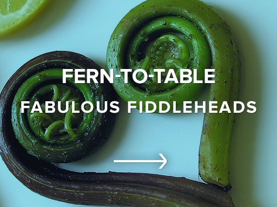 Fern-to-Table: Fabulous Fiddleheads